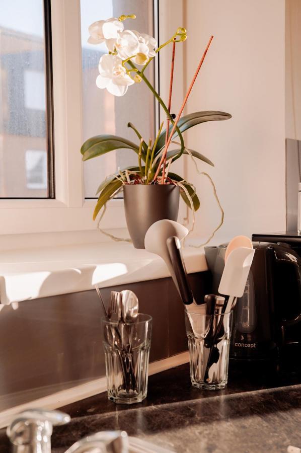 Apartmany Centrum Nový Bor 외부 사진